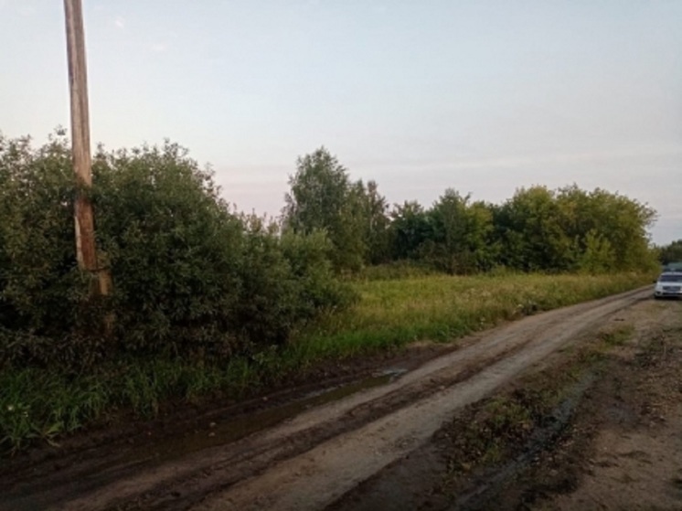 Труп мужчины нашли на перекрестке в курганском селе