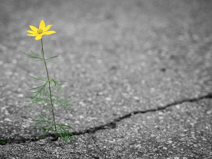 Провалившаяся под землю дорога в Омске попала на видео