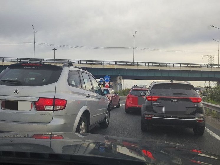 «Колу» перекроют из-за разводки Ладожского моста утром 11 августа