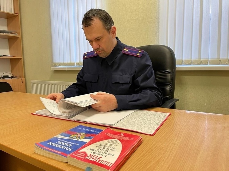 Жителя Карелии осудили за отправку интимных фотографий малолетней девочке