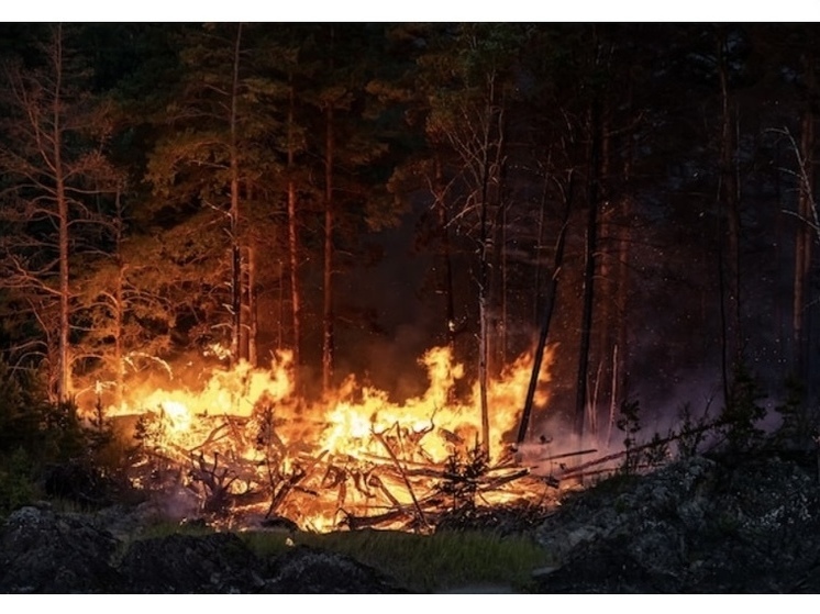 В Бодайбинском районе введён режим ЧС из-за лесных пожаров