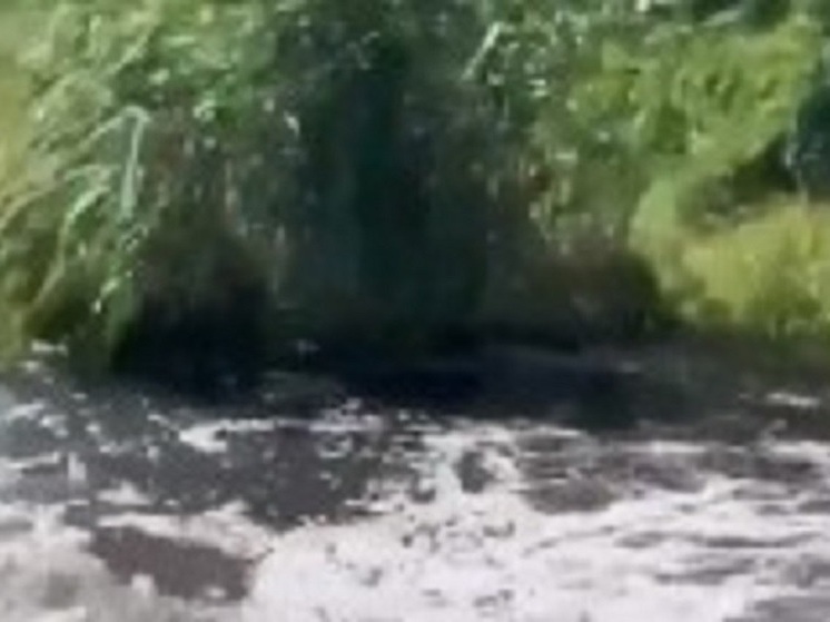 В Ростовской области появилось озеро из нечистот