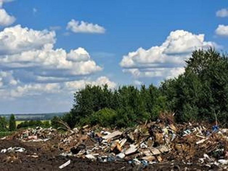 В Кузбассе на месте сельхозземель обнаружили огромную нелегальную свалку