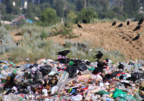 Полиэтиленовые пакеты уже под запретом на территории Иссык-Кульской области, очередь за одноразовой посудой и другими пластиковыми изделиями