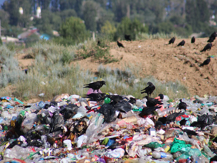 Кыргызстан запрещает полиэтиленовые пакеты и пластик в стране