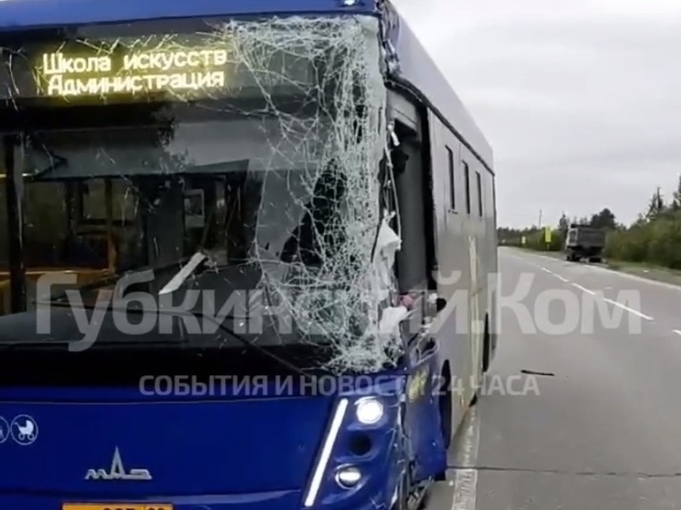 Водителю стало плохо: автобус из Губкинского вылетел на встречку и протаранил грузовик