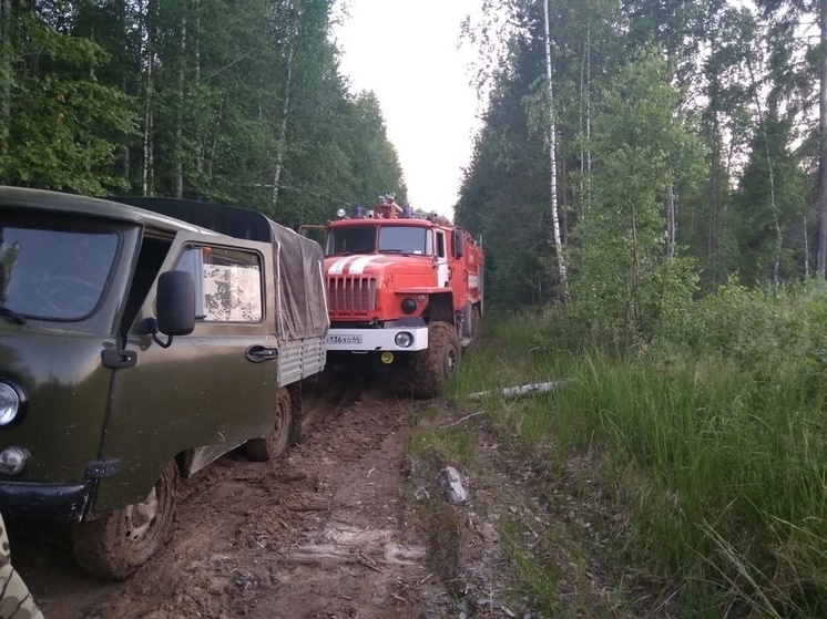 Костромские пожарные несколько часов тушили пожар в лесном массиве