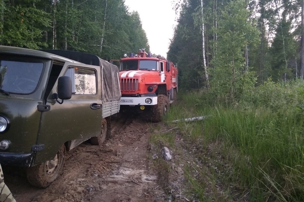 Костромские пожарные несколько часов тушили пожар в лесном массиве