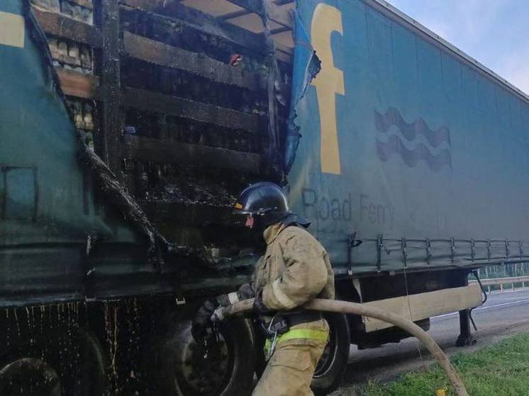 На трассе в Чудовском районе горела фура