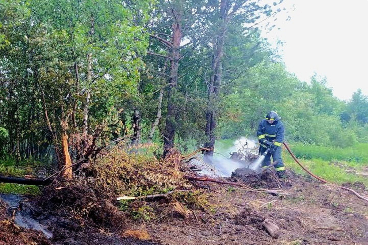 Лесной пожар ликвидировали в Кандалакшском районе