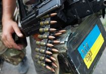 Министр иностранных дел Украины Дмитрий Кулеба признал, что наступление ВСУ идет медленно