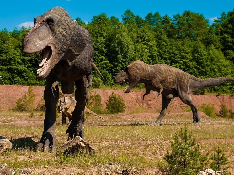 В Кузбассе нашли кости динозавра теропода