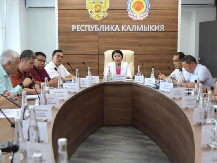 В Калмыкии обсудили застройку микрорайона «Молодежный»