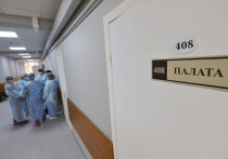 Необычного пациента доставили в четверг вечером в приемное отделение Коломенской городской больницы