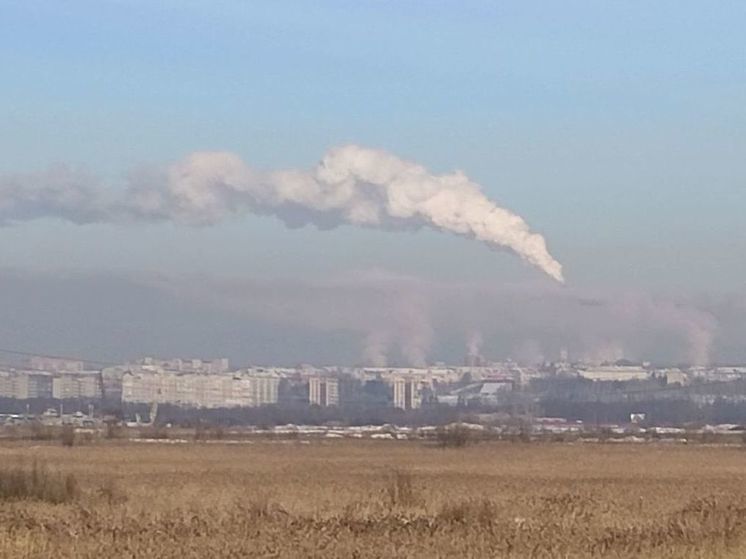  Омский каучук ответил на обвинения Минприроды в выбросах фенола