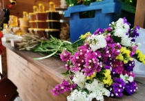 Миниатюрный медовый фестиваль в преддверии Медового Спаса проходит в Пскове с 11 по 13 августа