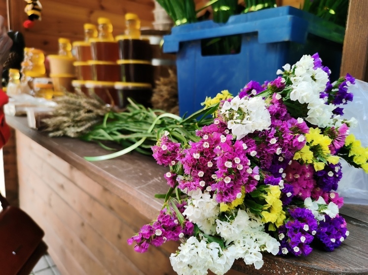 Пчелиный хэнд-мейд: Медовый фестиваль стартовал в Пскове