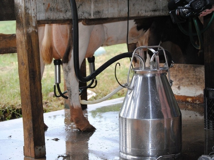 В Башкирии модернизируют молочную ферму, вложив 739 млн рублей