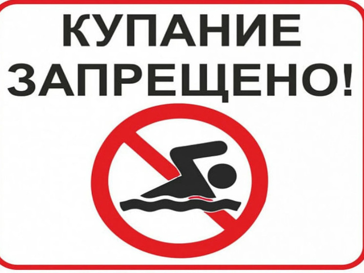 На ярославских пляжах подняли красный флаг