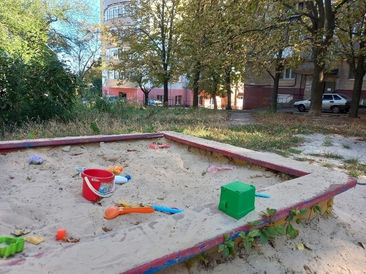 Детский омбудсмен России опровергла информацию о принудительном вывозе детей из освобожденных территорий