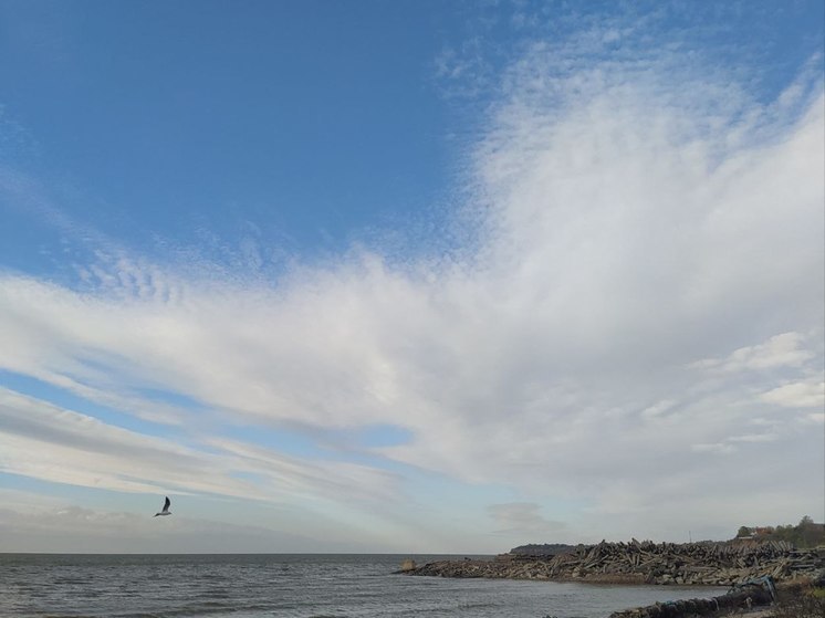 Пушилин: Азовскому морю нужно вернуть былое богатство