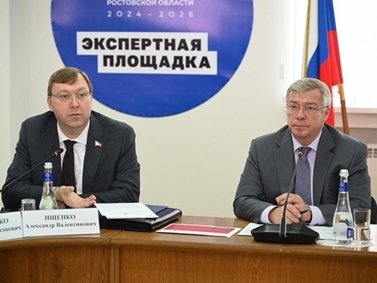 Донские парламентарии предложили усовершенствовать систему здравоохранения