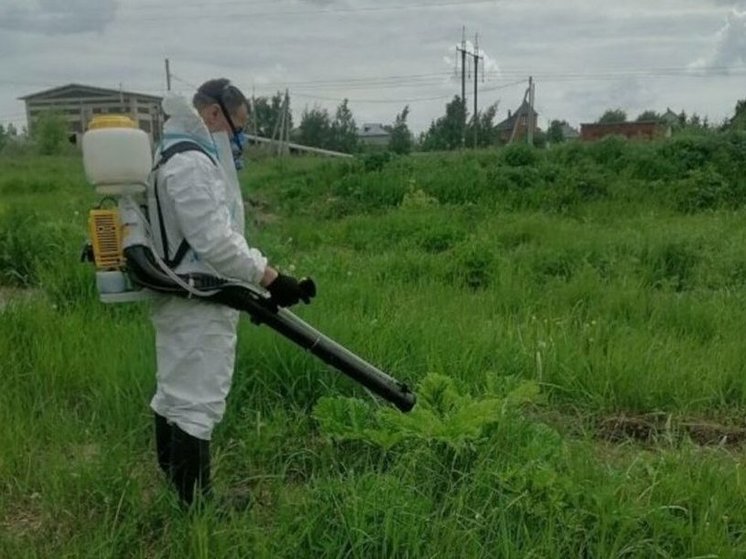 В Курской области обработали от опасных клещей более 826 га