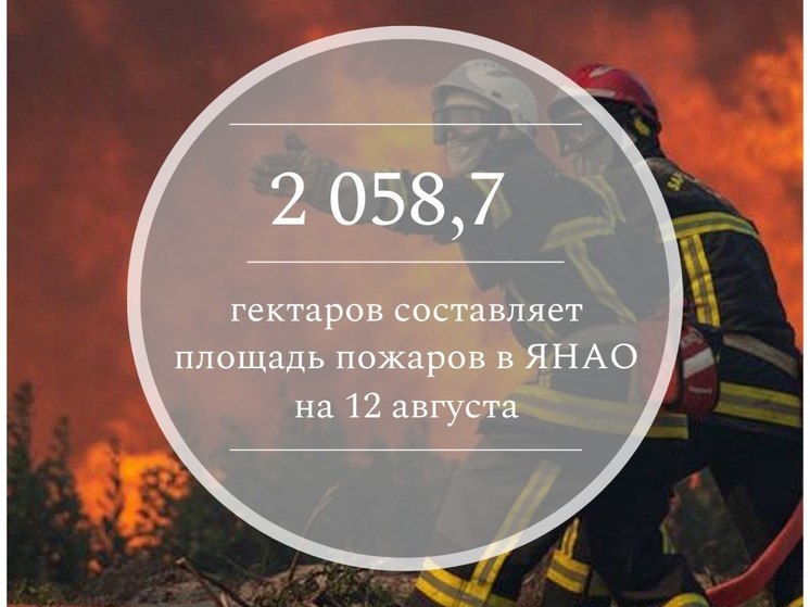 На Ямале огнем охвачены больше 2 тысяч гектаров лесов