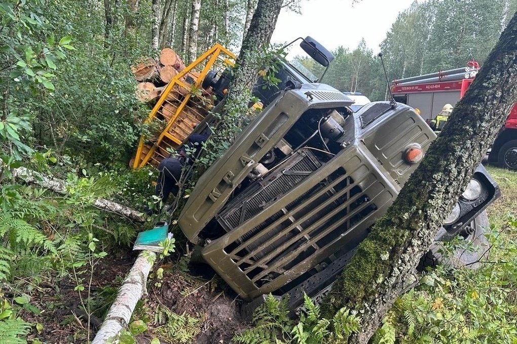 В ДТП под Брянском погиб водитель лесовоза