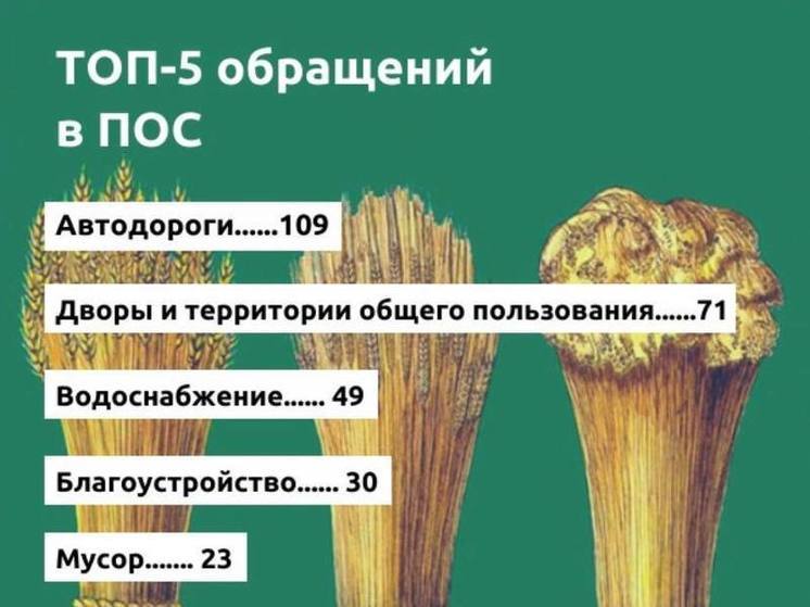 Пензенская мэрия посчитала, какие вопросы больше всего беспокоят пензенцев
