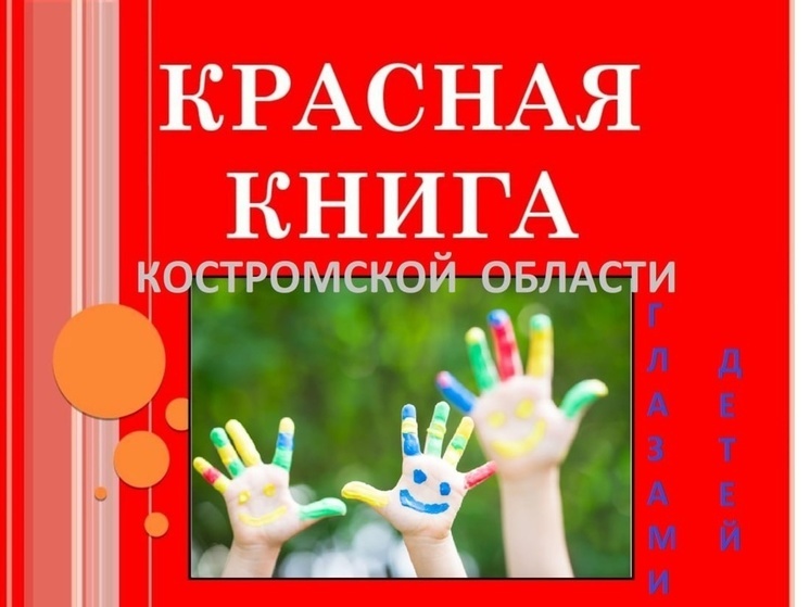 Юные костромичи могут стать авторами «детской» Красной книги