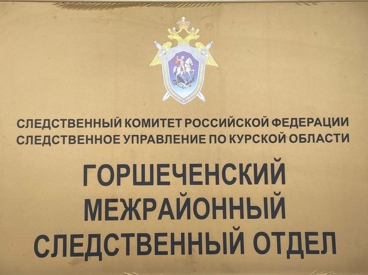 В Курской области подростка из Касторного подозревают в грабеже