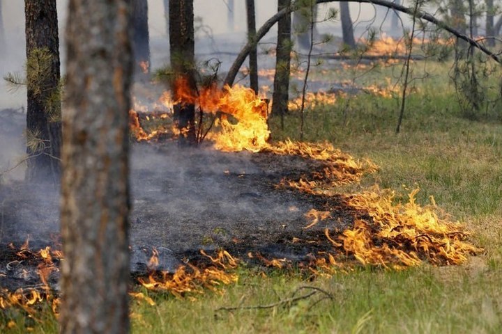 В Костроме из-за жары прогнозируют высокий класс пожароопасности