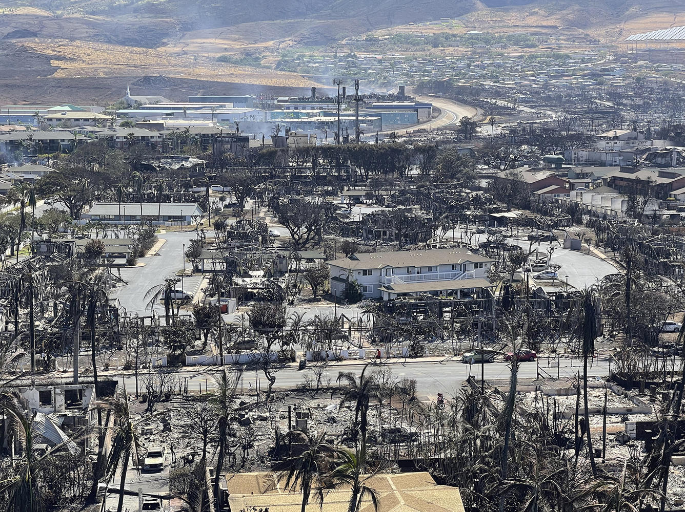 Houses turned to ashes: monstrous footage of the aftermath of fires in Hawaii