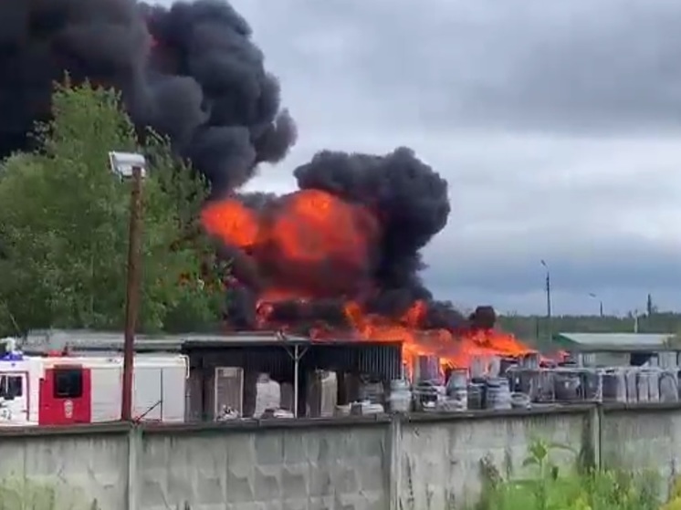 Прокуратура назвала предварительную причину пожара на складе в подмосковном Раменском