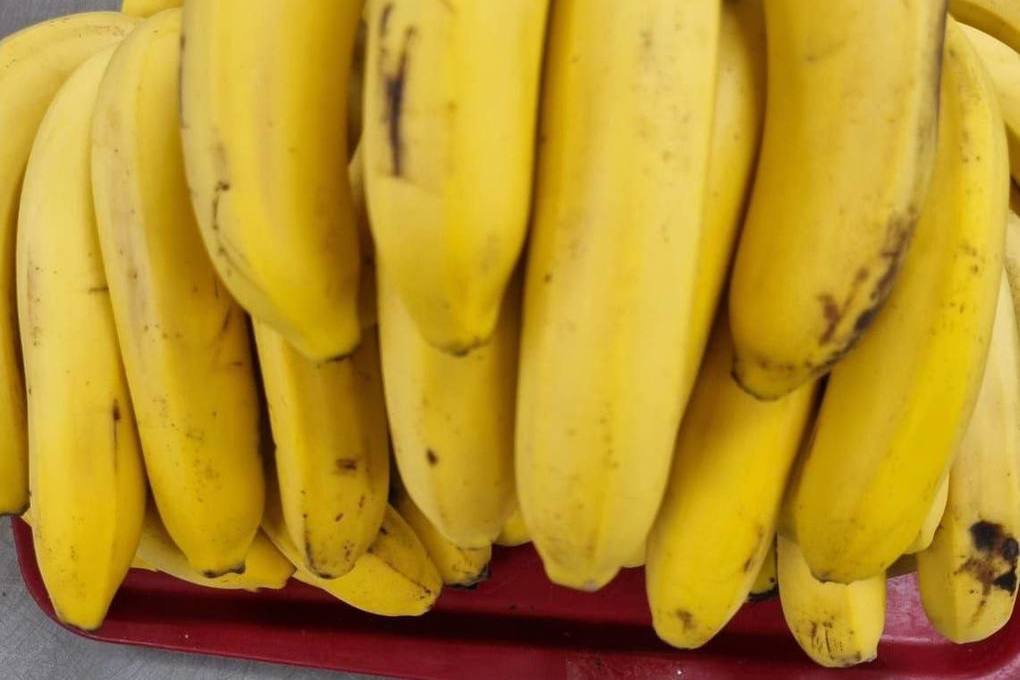 В Чехии в коробках с бананами нашли 646 килограммов кокаина