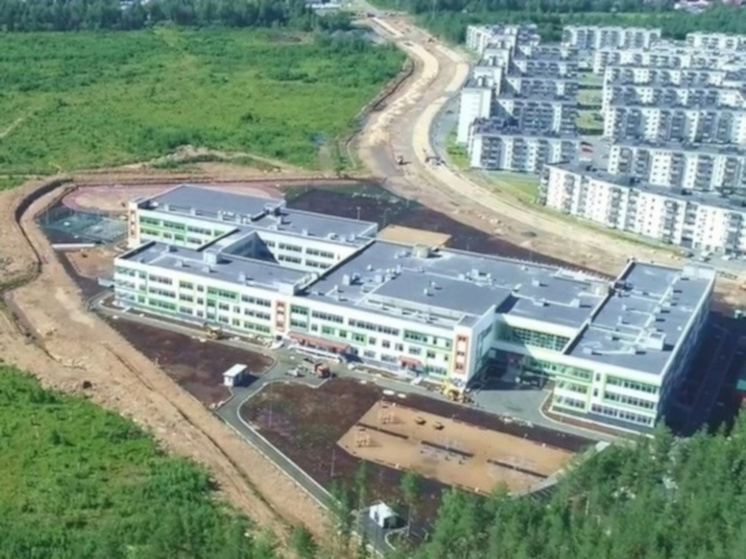 Жители Древлянки просят власти Петрозаводска построить две спецшколы в районе