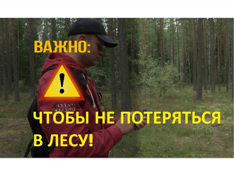 Жителям Костромской области напоминают о правилах безопасного поведения в лесу