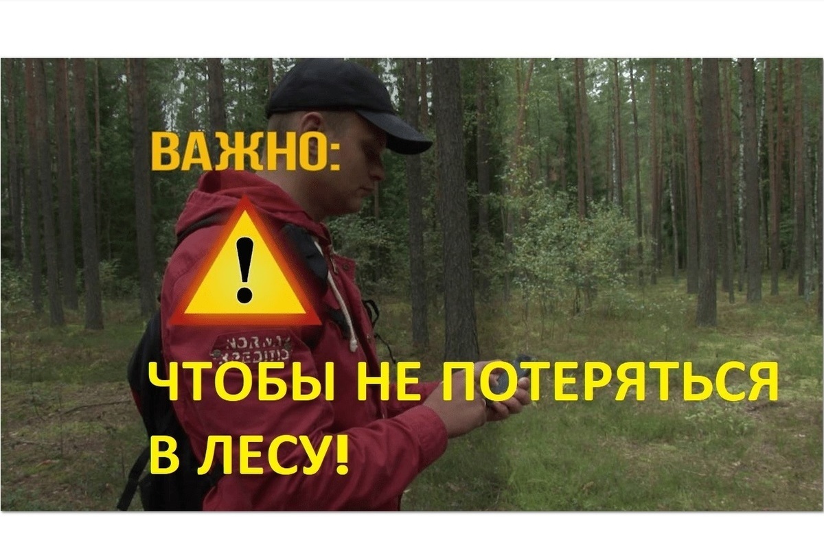Жителям Костромской области напоминают о правилах безопасного поведения в лесу