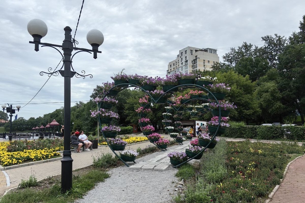 Хабаровские городские пруды вернут себе былую красоту - МК Хабаровск