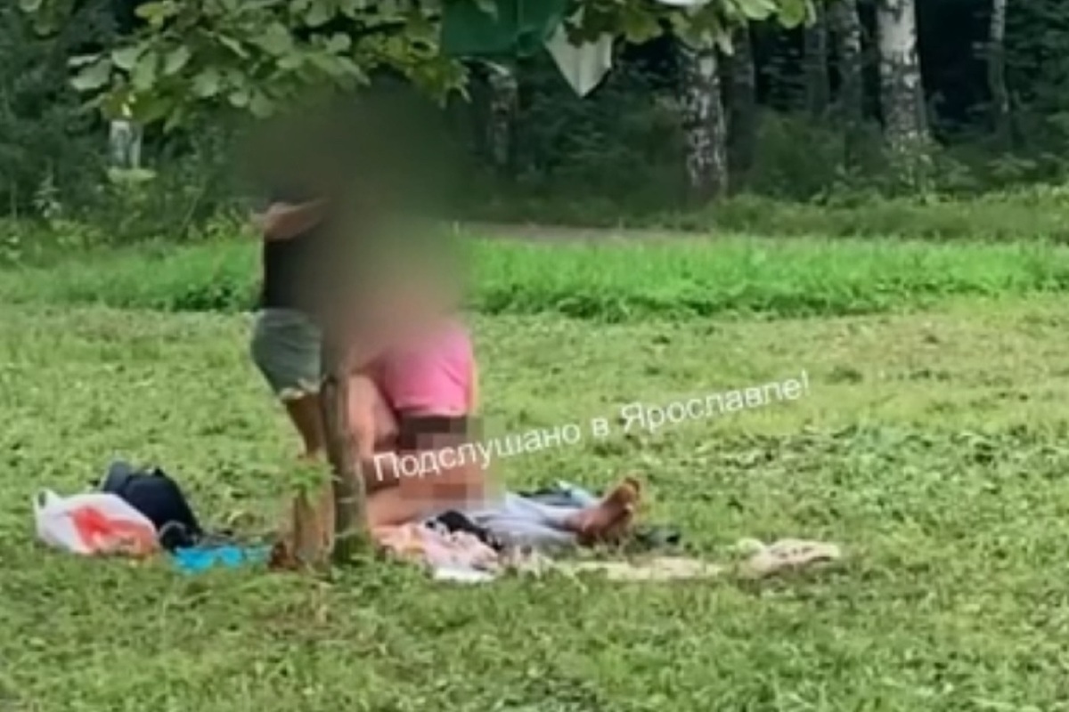 Жители Брагино устроили секс-пати в парке - МК Ярославль
