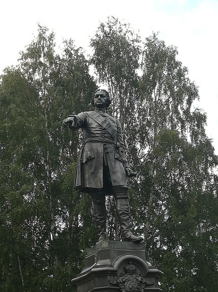 Чайка пометила лоб основателю Петрозаводска