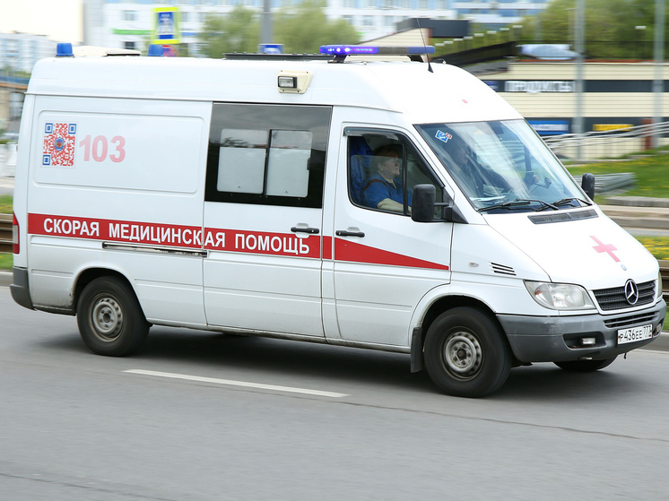 Водитель бетономешалки случайно задавил сослуживца в Домодедове