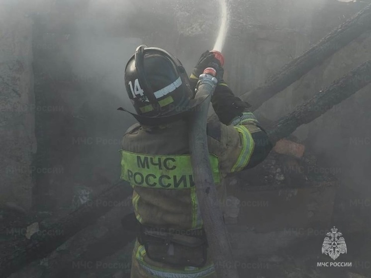 В Курской области за неделю пожарные реагировали на тревожные сигналы более 100 раз