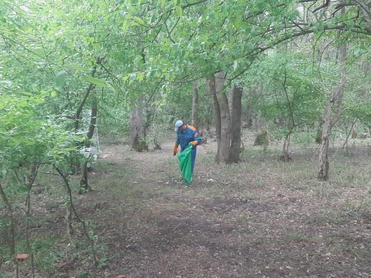 В Новороссийском и Гостагаевском участковых лесничествах навели санпорядок