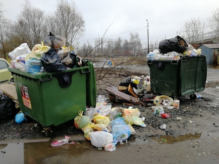 Власти Петрозаводска предлагают начать видеоохоту за магазинами, заваливающими город мусором