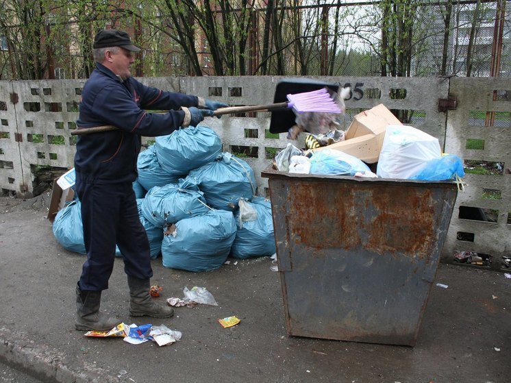 Власти Петрозаводска назвали сумму, в которую обошлась очистка контейнерных площадок от мусора
