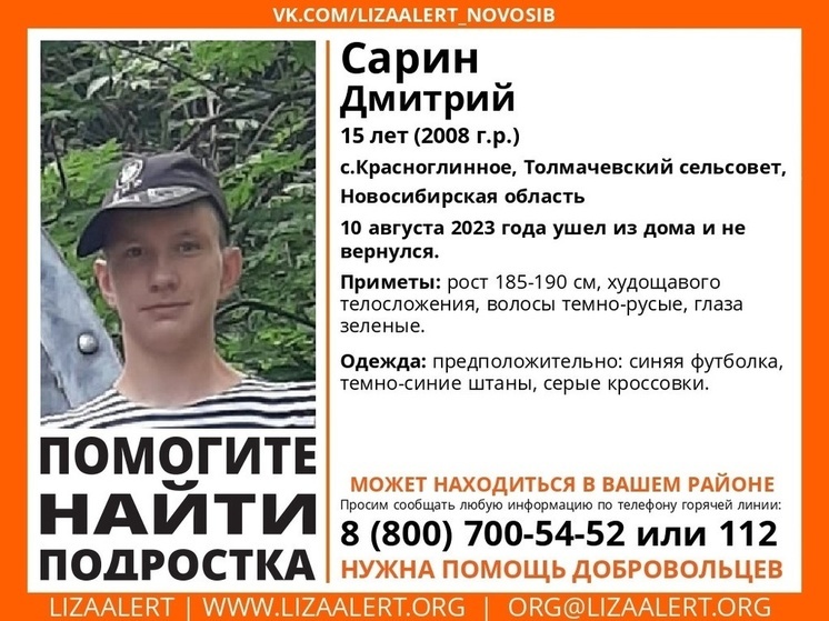 В селе Красноглинное под Новосибирском пропал 15-летний подросток