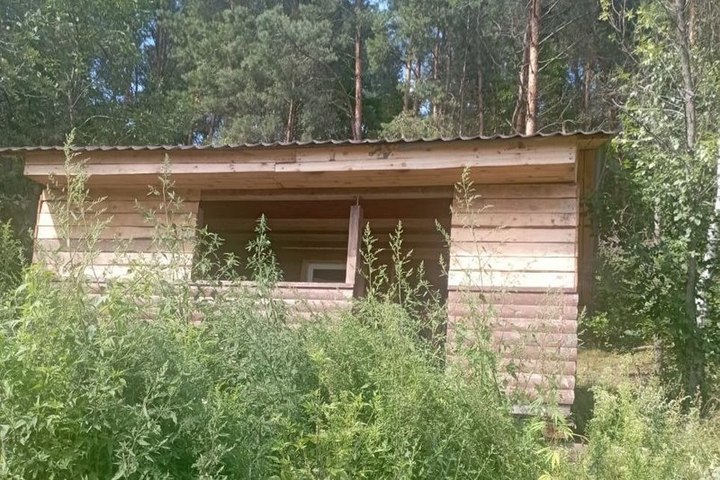 В Курской области в лесу незаконно построили дом, беседку и баню