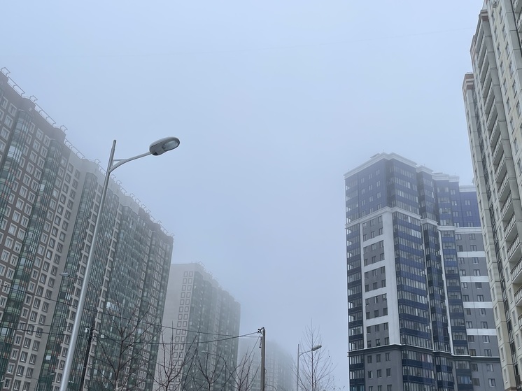 Туман опустится на Ленобласть в ночь на 15 августа